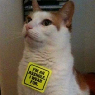 Dank Memes God (@literalmemelord) / Twitter Dank Memes God (@literalmemelord) / Twitter