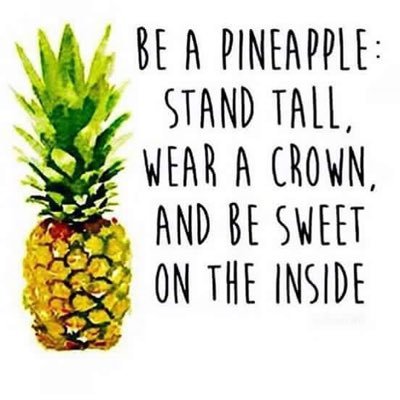 itsafoxinabox's profile picture. just a fox. in a box.