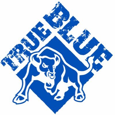 BlueBulls_FC's profile picture. a bunch of blokes playing summer football and being good at it! all updates on the summer league and winter football from sunny #Nelson #newzealand #bluebullsfc