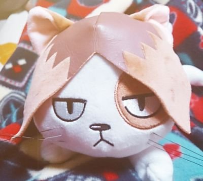 ログアウトしました。リムおねがいしますさんのプロフィール画像