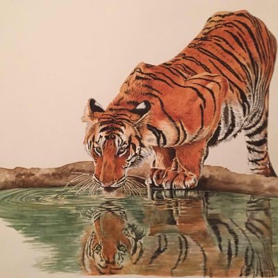 azam_monem's profile picture. 