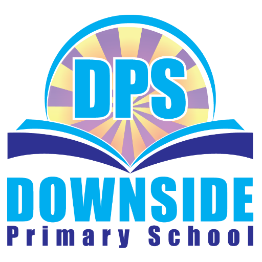 Downside Primary Profile