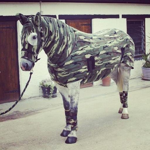 yoshitomotajima's profile picture. 