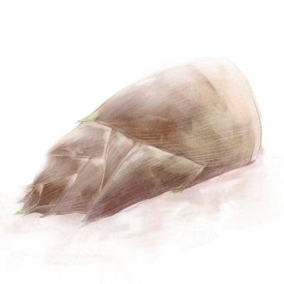 相方ここある  相棒お米ちゃん  そこの君、僕とよかったら仲良くしてな(*´罒`*)ﾆﾋﾋ   ☪*巴衛★.｡･:*:･ﾟ