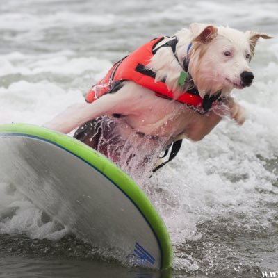 wdcbilly's profile picture. 