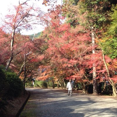 Accelerate1107's profile picture. 