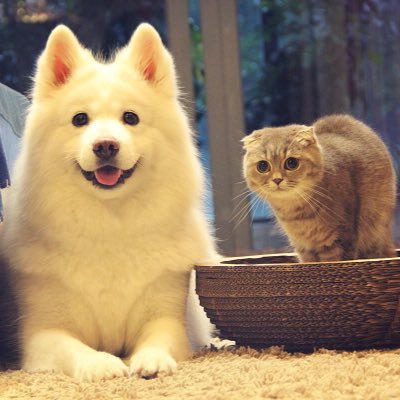 zhangyayayajing's profile picture. 