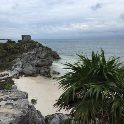 letdowncrush_'s profile picture. 