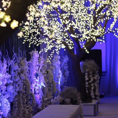 Miss_fno's profile picture. 