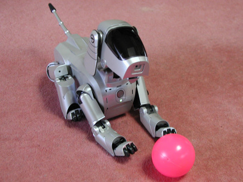 edv9000's profile picture. 