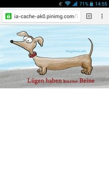 jonipla99's profile picture. Insta:  Jonas_Plaue334