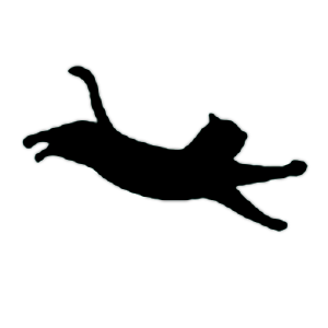 ibashさんのプロフィール画像