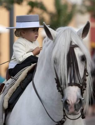 MiguelA10301142's profile picture. 