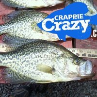 Crappie Crazy.com (@crappiecrazycom) 's Twitter Profile Photo Crappie Crazy.com (@crappiecrazycom) 's Twitter Profile Photo