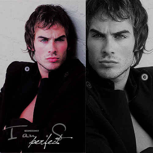 When I first saw him I couldnt belive what I was looking. Hes so beautifull ,charming ,hot, sexy, sweet&talentous.His just so perfect! I love him so much:D