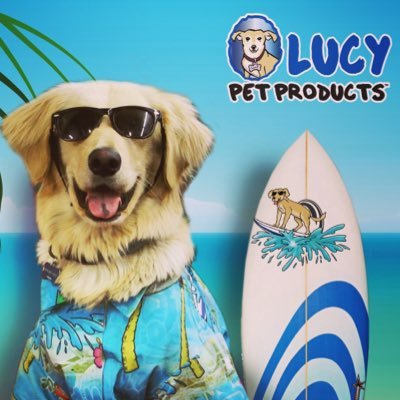 Former LA Shelter Dog on a mission to help animals in need. Spokesdog for Lucy Pet Products! Products with a Cause! 
#LucyPet 
👇👇👇