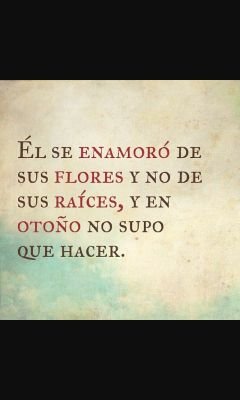 frases_lau23's profile picture. 