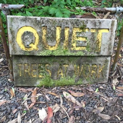 jonvallone's profile picture. 