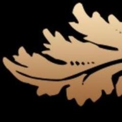 TradeProse's profile picture. 