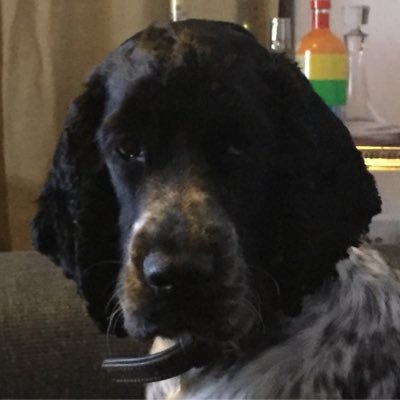 E20Tina's profile picture. We have no landline. please email tina@tinawesaluteyou.com to contact us