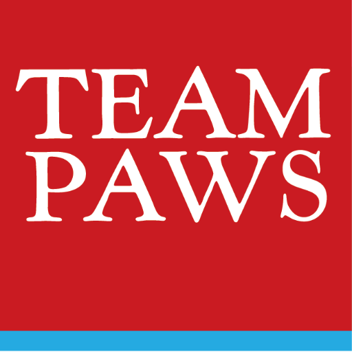 TeamPAWSChicago's profile picture. PAWS Chicago is the area's largest No Kill, humane organization. Team PAWS is made up of more than 600 runners and triathletes.  Join the team today!