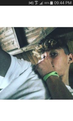 EmanueleCapass8's profile picture. 