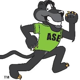 PE_ASE's profile picture. 