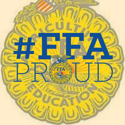 spring_ffa Profile Picture