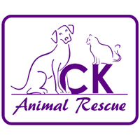 CK Animal Rescue(@ckanimalrescue) 's Twitter Profileg