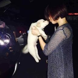 KarlinTian's profile picture. Fast-install Buidling materials for Roofing tile ,Ceiling Sheet, Wall Board and Flooring.