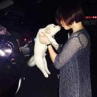 karlin Tian (@karlintian) 's Twitter Profile