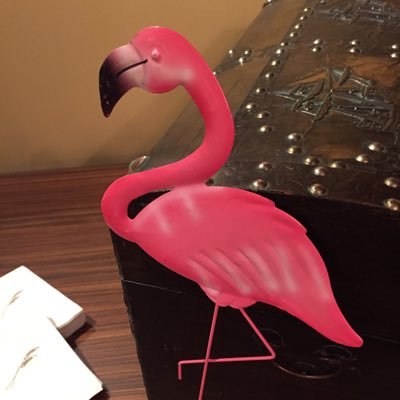 LynnAug's profile picture. 