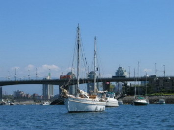 mahina_ca's profile picture. 