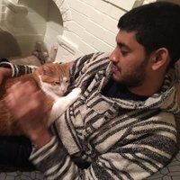 sheki (@sheki) 's Twitter Profile