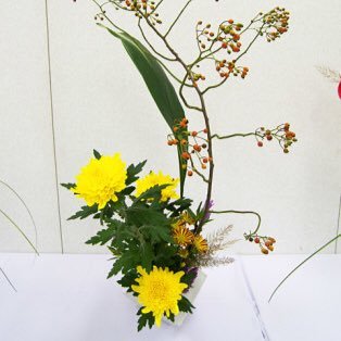 ikebana345 Profile Picture