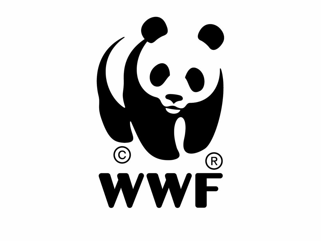 WWFChina's profile picture. 