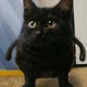 spaceprobe10's profile picture. 