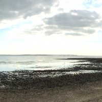 Phil Hollins (@pjher) 's Twitter Profile