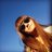 Sarah Emily Barlow