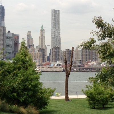 kaelumania's profile picture. Father, Developer and Thinker.