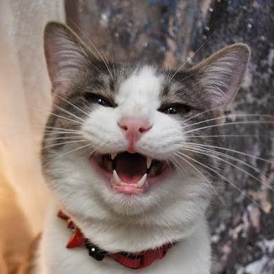 花屋です♪ 白金花孝・花猫庵
ご依頼フォーム↓
https://t.co/E6p1q86rRs
スタンド花↓楽屋花アルバム
https://t.co/L9NLpwhcf0
#スタンド花 #フラスタ #楽屋花 #アレンジメント