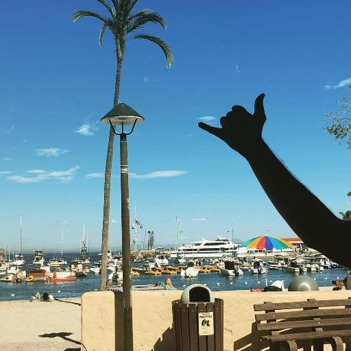 rushrunsave's profile picture. "Product & Growth. Performance Marketer. Here for the erm. the revolution..?"