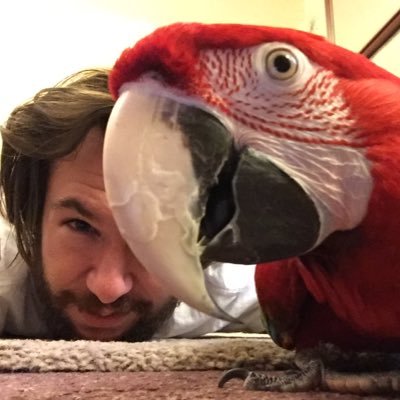 serge_09's profile picture. All in all you're just another brick in the wall ... AT❤️