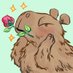 Capybara-senpai (@capybara_damacy) Twitter profile photo