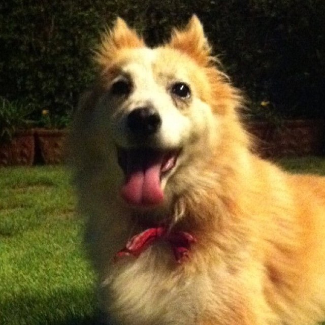 MarkofMe's profile picture. 