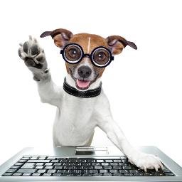 Actus, rendez-vous, tutos et infos insolites du monde animalier