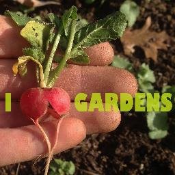 The garden at Mill Road School is an outdoor classroom used to teach children about growing and enjoying nutritious food through hands-on experience.