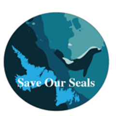 Newfoundland based organization advocating an end to the commercial seal hunt in Newfoundland, Canada -the largest marine mammal slaughter in North America.