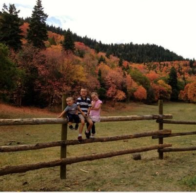 PaalPaalk's profile picture. 