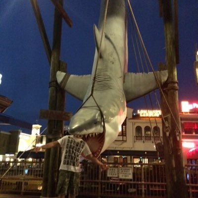Mauricio84C's profile picture. 